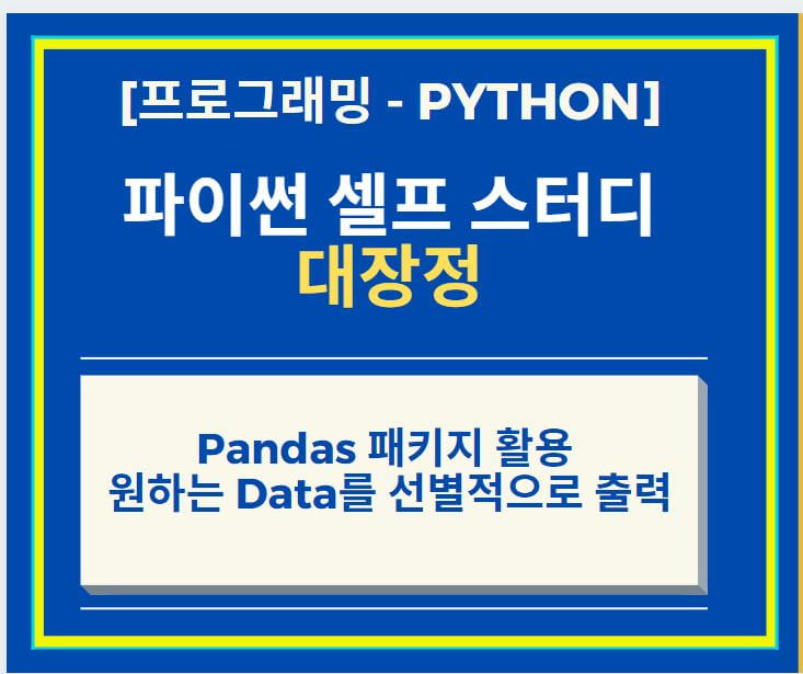 Pandas-DataFrame-선벌적-출력-썸네일