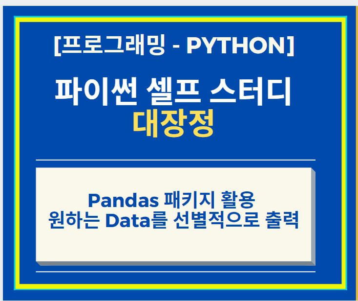  Python Panda DataFrame 에서 선별적으로 Data 출력하기