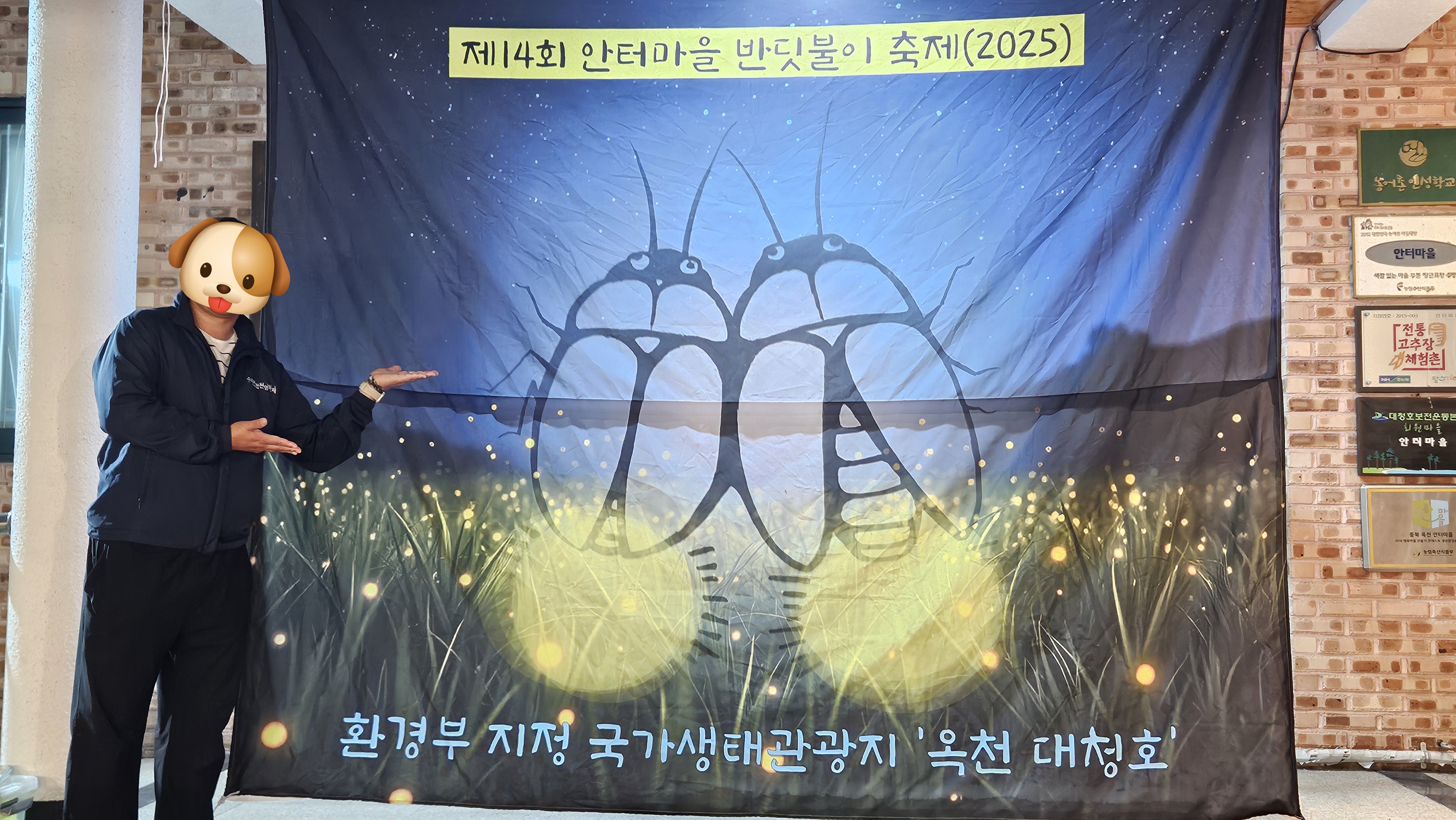 안터 이미지
