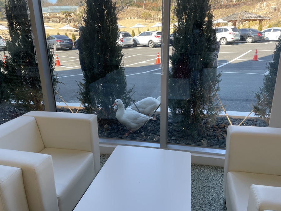 사랑 <느티나무의 > 39