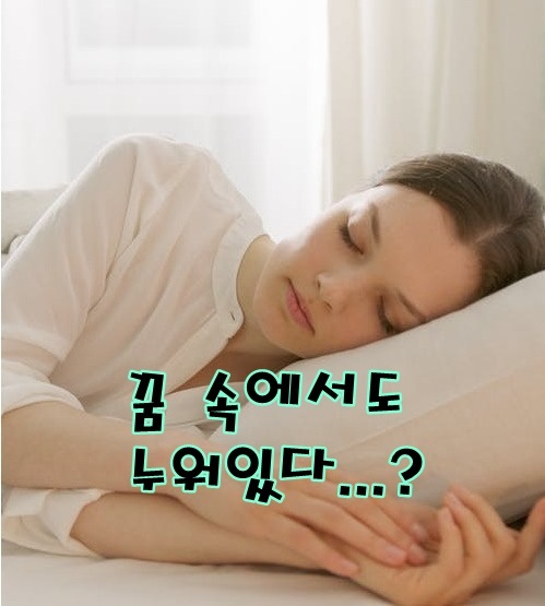  [무료꿈해몽]누워있는 꿈;꿈속의꿈,검은이불,여럿이함께눕는꿈,누웠다가밖으로나온꿈,나란히눕는꿈,머리를맞대는꿈,머리위로뻗은다리,엎어져누워있는꿈,꿈속에서또잠을자는꿈,무릎에누워..