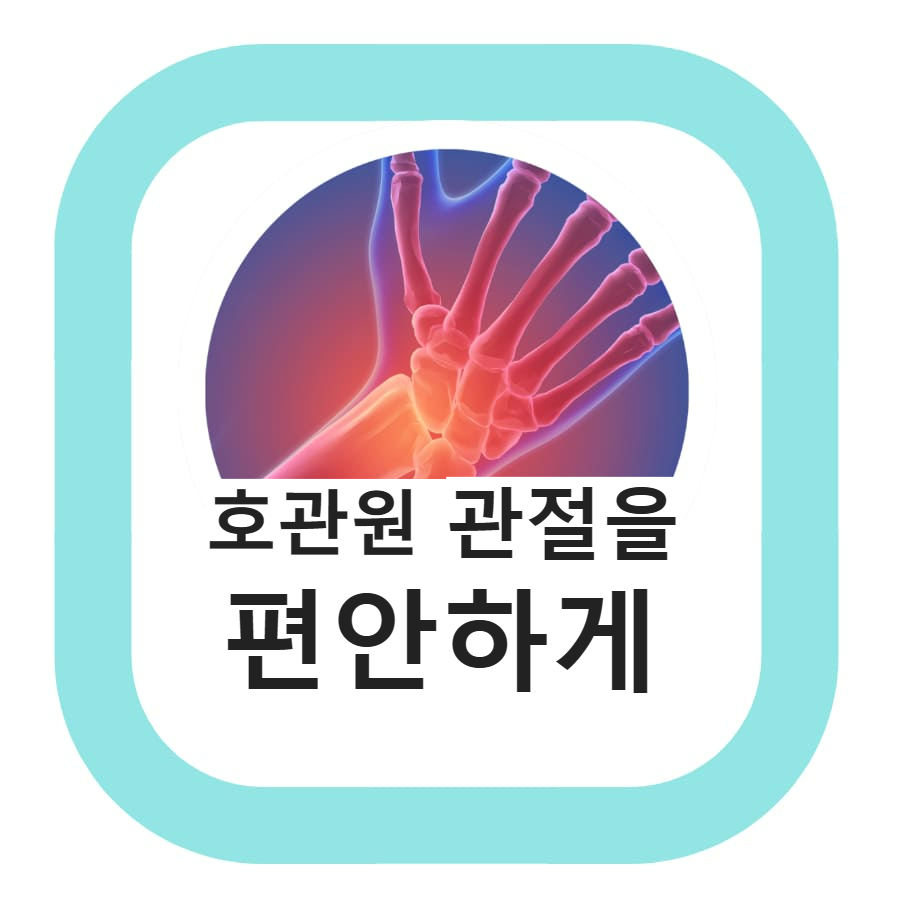  호관원 프리미엄 골드 효능 및 가격 관절을 편안하게