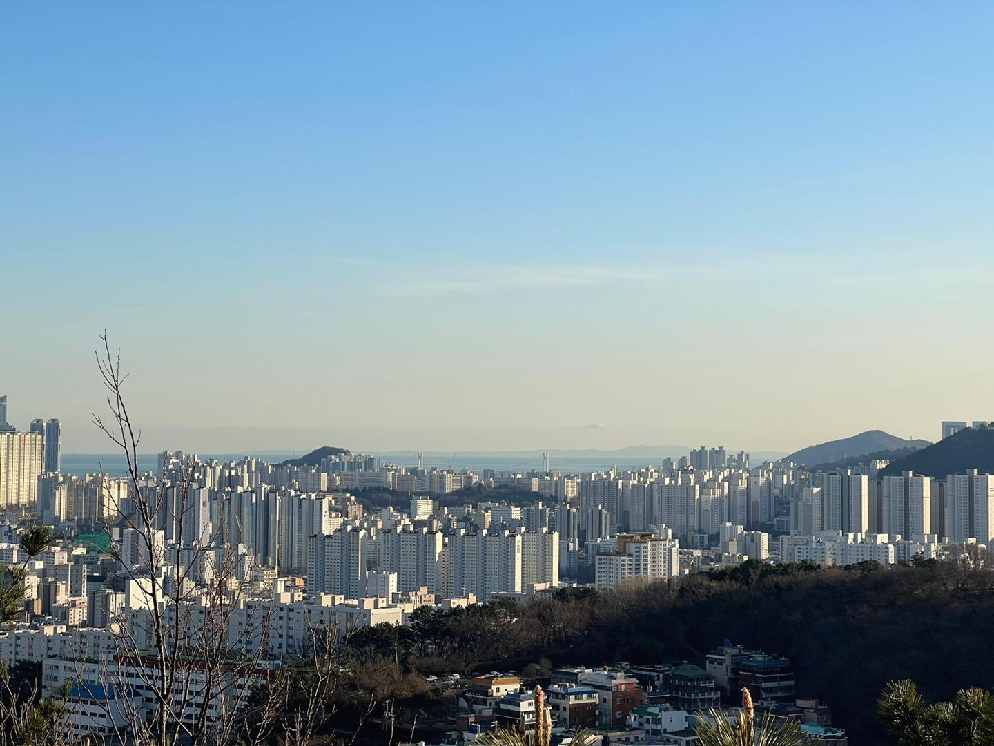  [웹퍼블리셔 일기] 다사다난 했던 2021년 회고