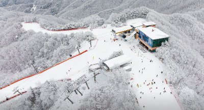 비발디파크 할인정보