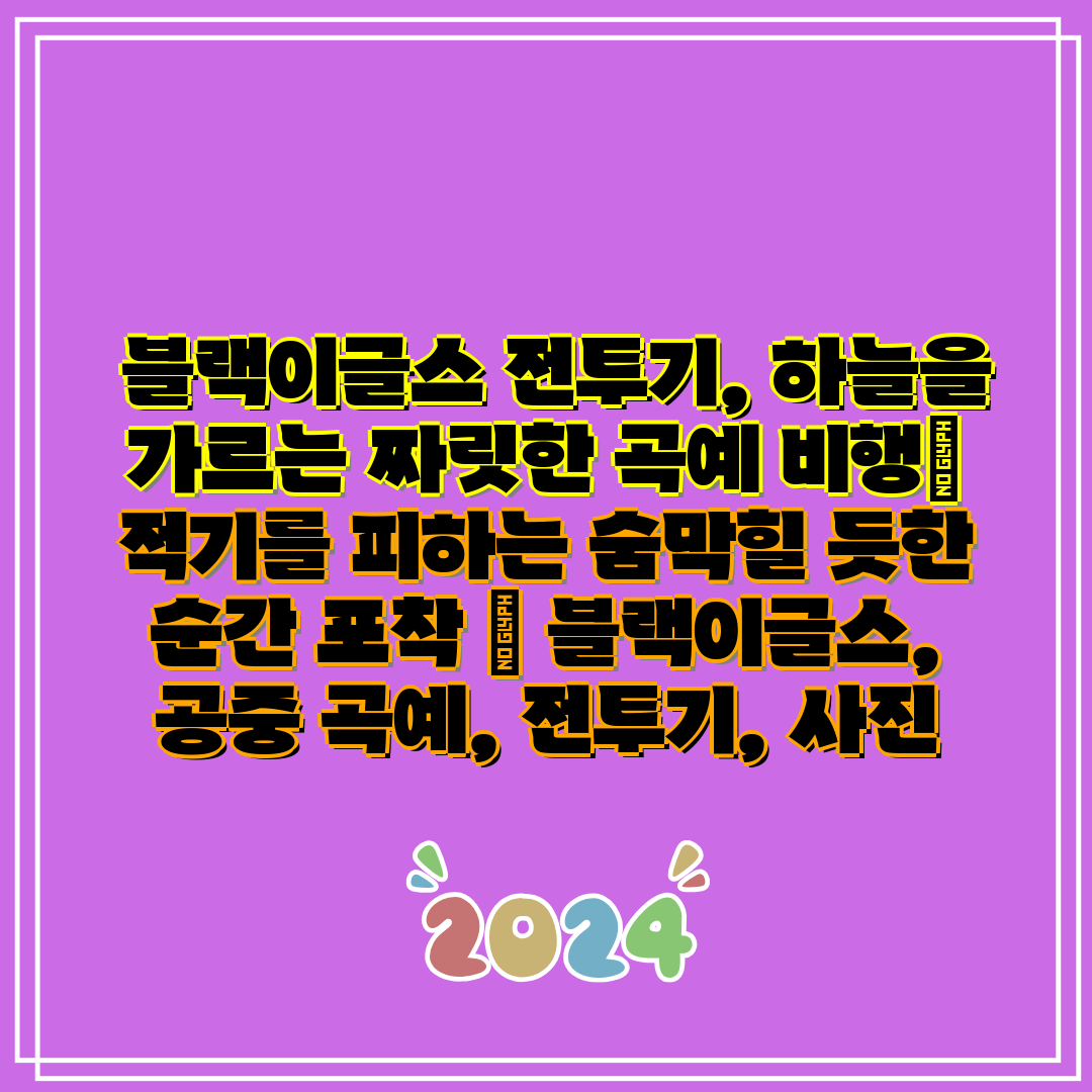 블랙이글스 전투기, 하늘을 가르는 짜릿한 곡예 비행