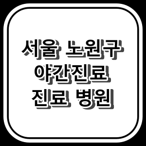노원구 야간 진료 정형외과 병원과 진료시간