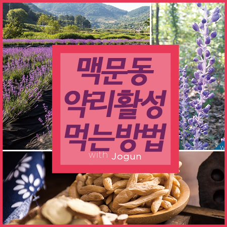  맥문동 효능 볶은 맥문동차 즐기기!