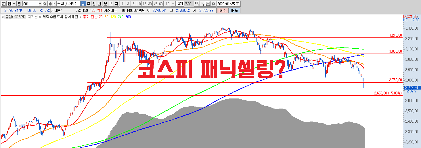  주식시장 하락 분석 | 패닉셀링 | 반대매매 | 마진콜 | 하락기회 | VIX