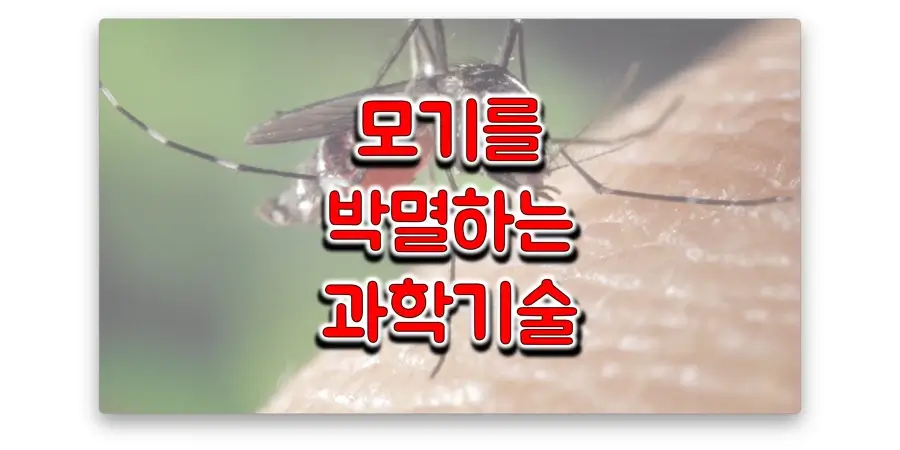 모기를-박멸하는-방법과-없애면-일어나는-일들-썸네일