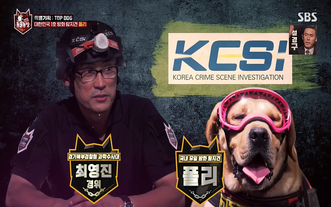 TV 동물농장.E1085.220905p-NEXT.mp4_20220904_171735.787.jpg