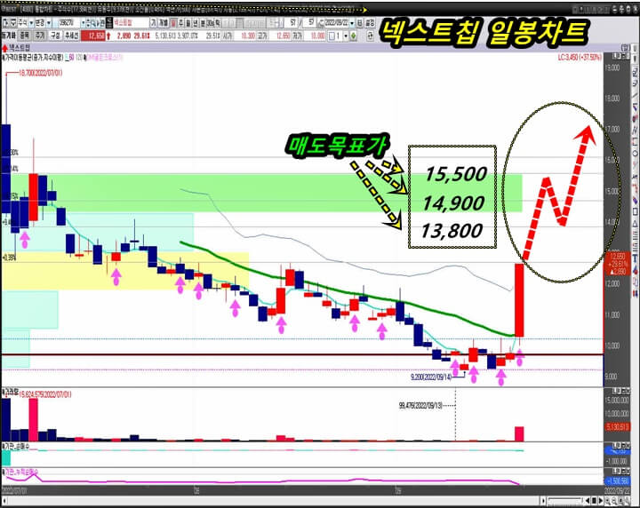 넥스트칩-일-봉-차트