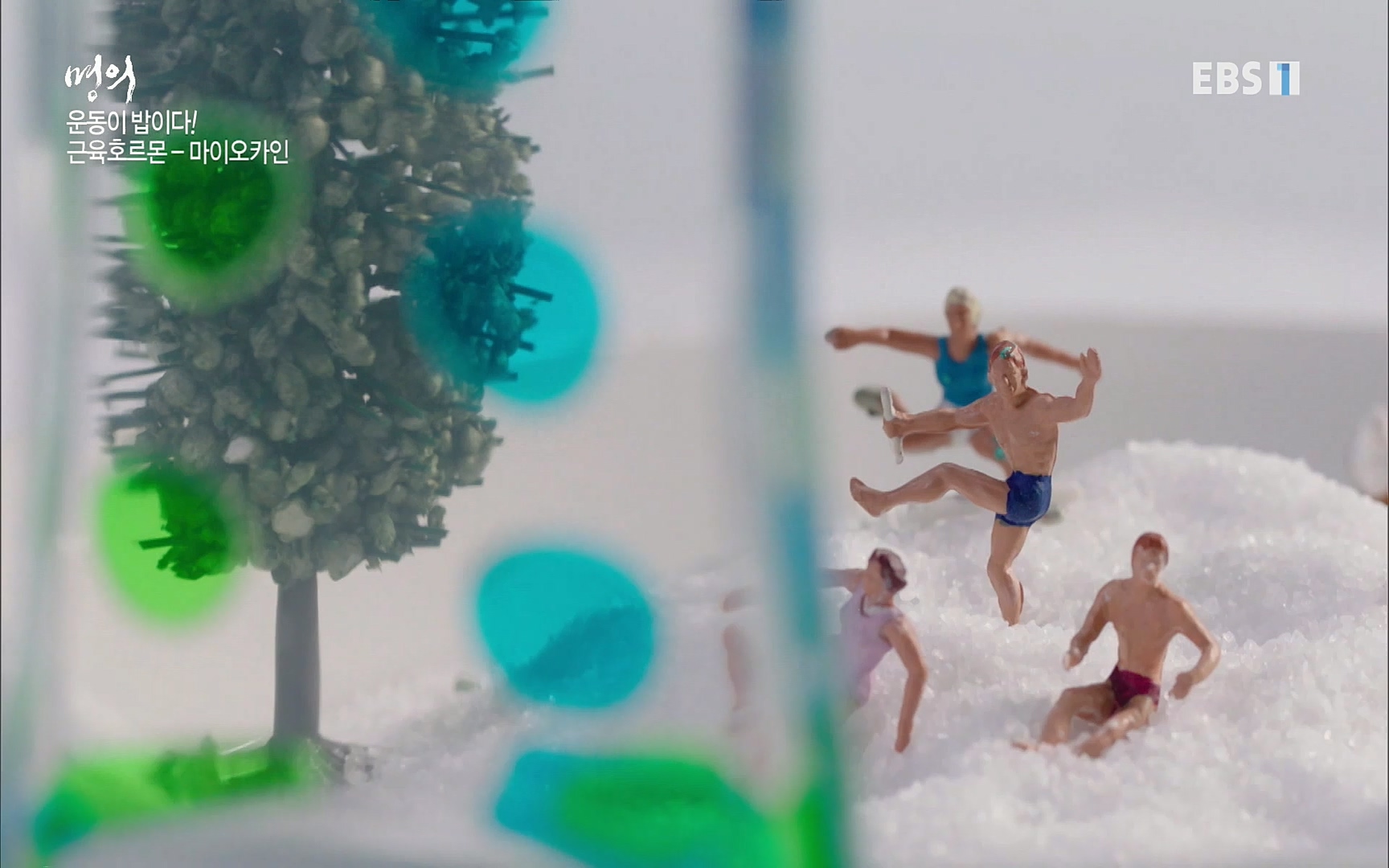 EBS 명의 헬스케어 - TV - 교육의 중심 EBS내 몸을 지배하는 7가지 호르몬 3부, 운동이 밥이다! .mp4_20220711_202510.539.jpg