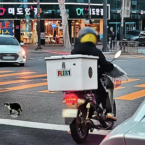오토바이-배달