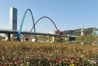 대전 가볼만한곳 베스트 10 성심당 딸기시루_12
