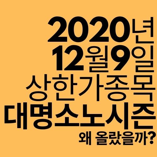  [상한가 종목] 대명소노시즌 (왜 올랐을까?)