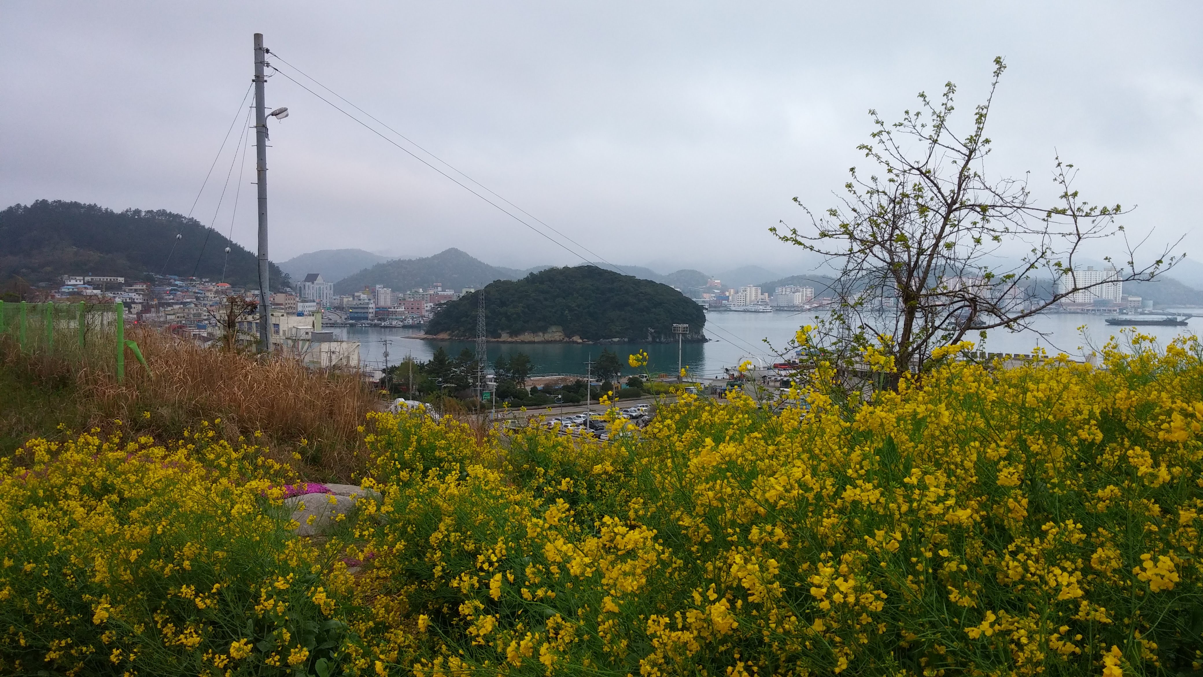  완도 주도 상록수림&먹거리