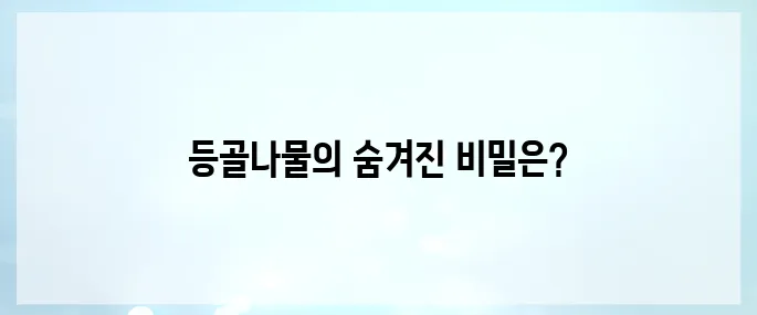 등골나물 효능, 부작용 및 먹는법