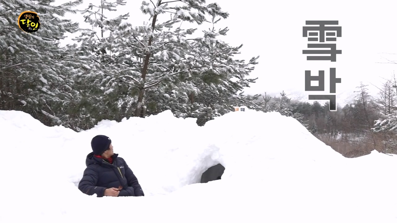 생활의 달인.E923.240220p-NEXT.mp4_20240220_195840.355.jpg