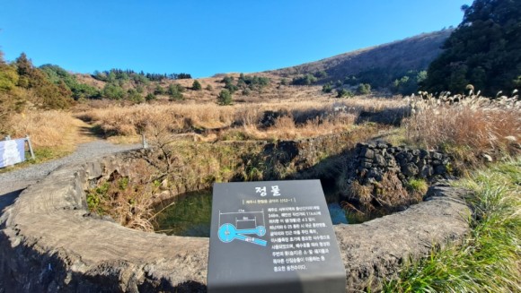 정물 당오름, 오름 그리고 금악오름 15