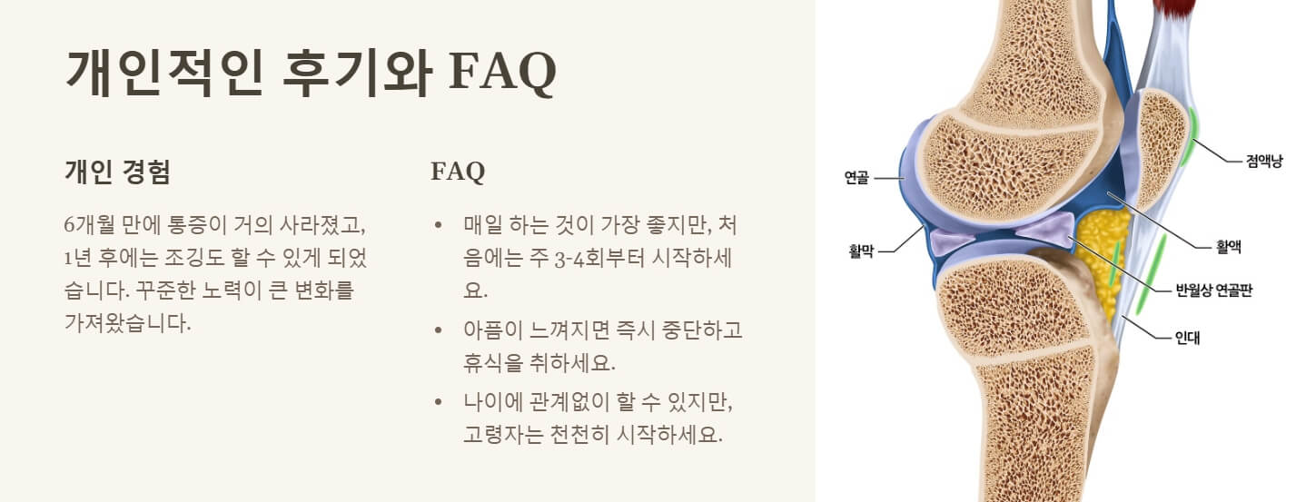 무릎관절에 좋은 운동