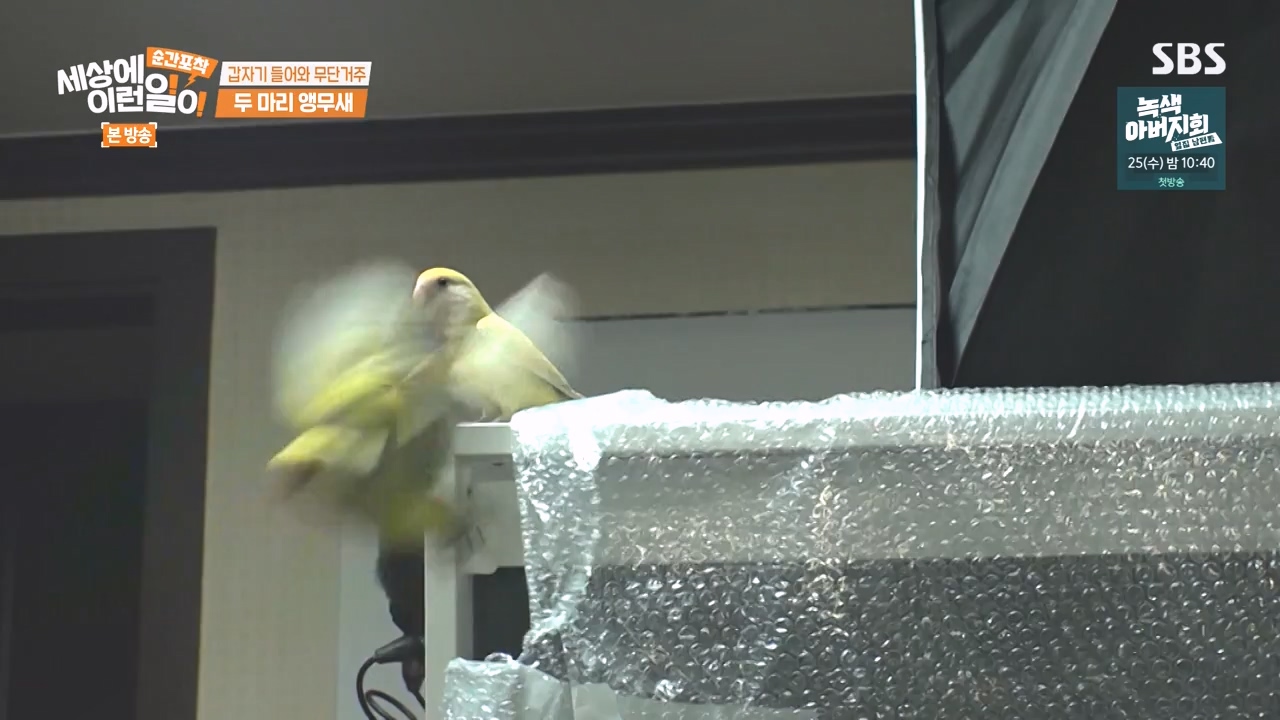 순간포착 세상에 이런일이.E1248.231015p-NEXT.mp4_20231015_164753.134.jpg