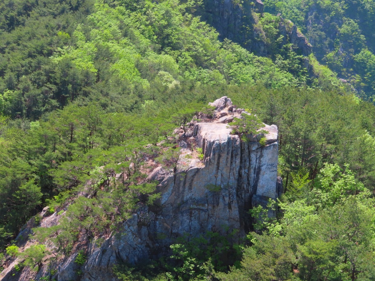 블랙야크 100+, Y출렁다리, 63