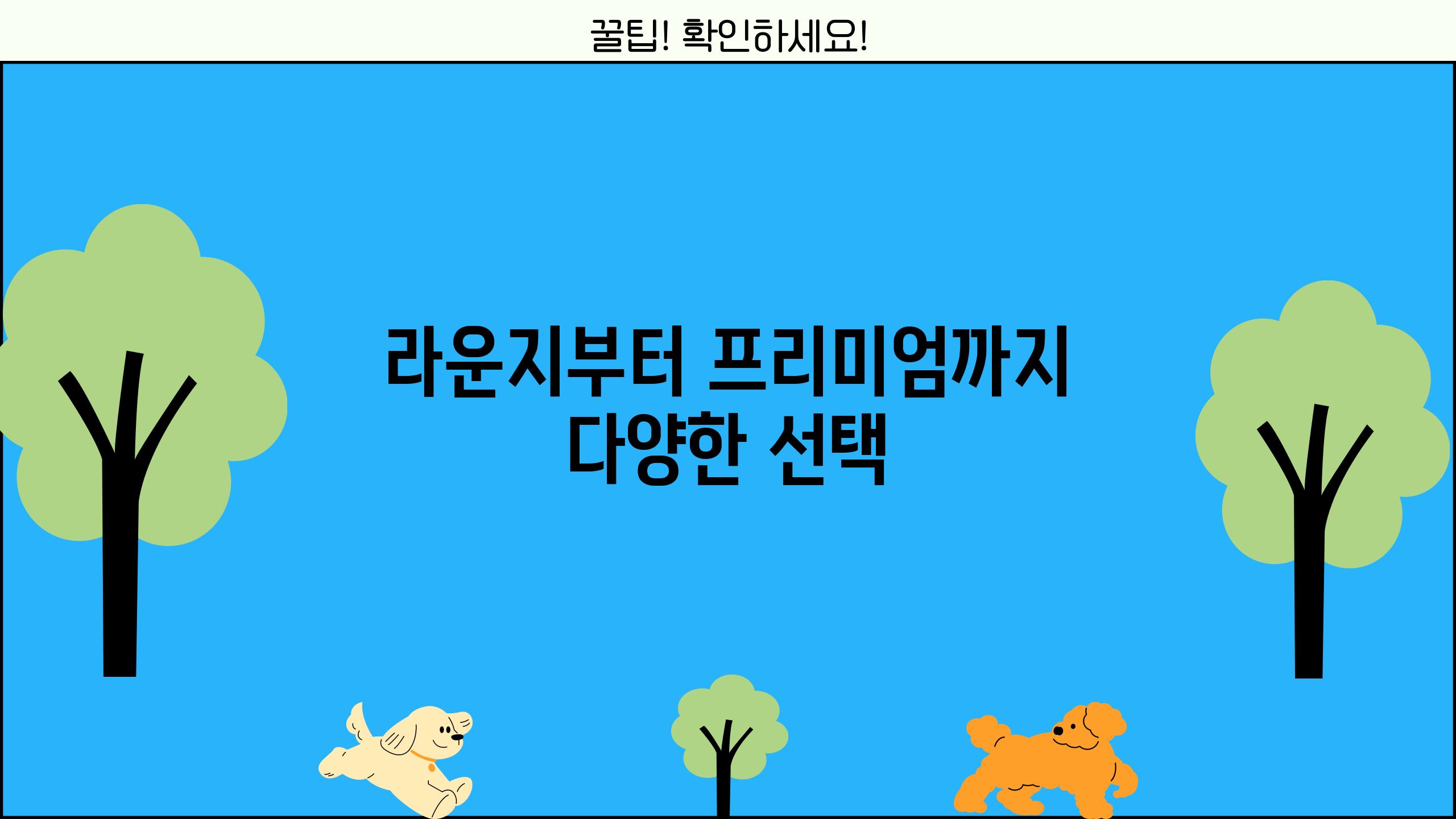 라운지부터 프리미엄까지, 다양한 선택