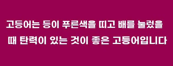 고등어는 등이 푸른색을 띠고 배를 눌렀을 때 탄력이 있는 것이 좋은 고등어입니다