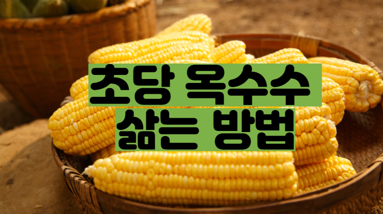  초당 옥수수 삶는법, 초당 옥수수 칼로리와 효능 (찰옥수수)