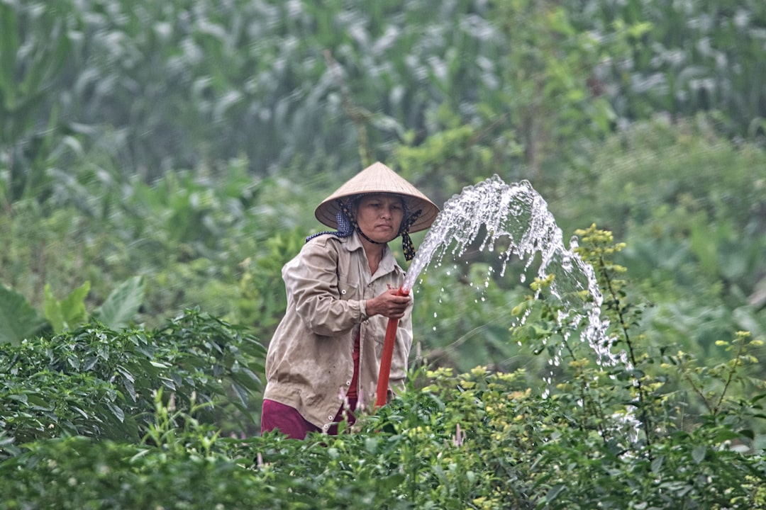 Watering