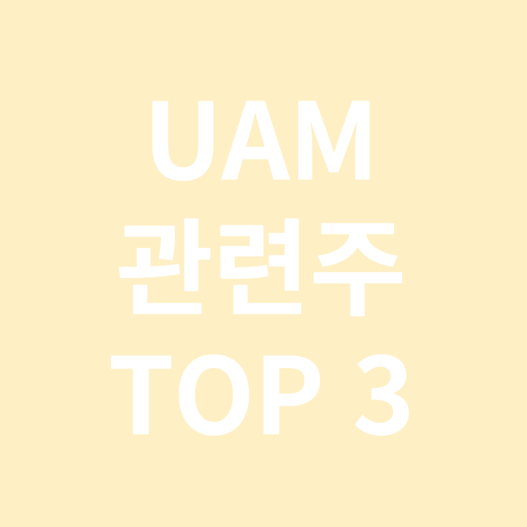 UAM 관련주 TOP 3
