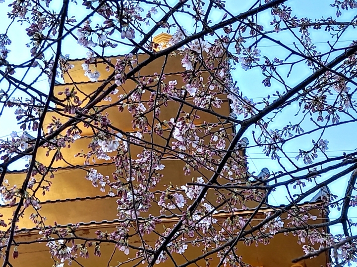 img.jpg