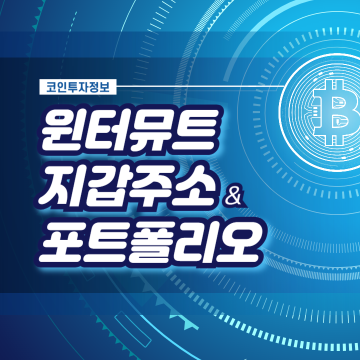 윈터뮤트 지갑주소 포트폴리오 정리