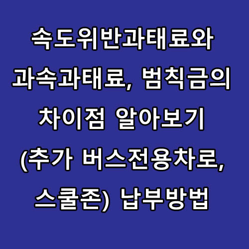  속도위반과태료와 과속과태료, 범칙금의 차이점 알아보기(추가 버스전용차로, 스쿨존) 납부방법