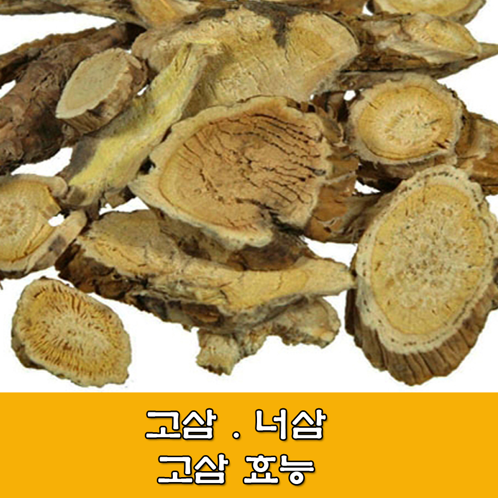  고삼.너삼.고삼 효능