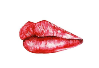 붉은 또는 부어오른 입술 (출처 : pixabay)