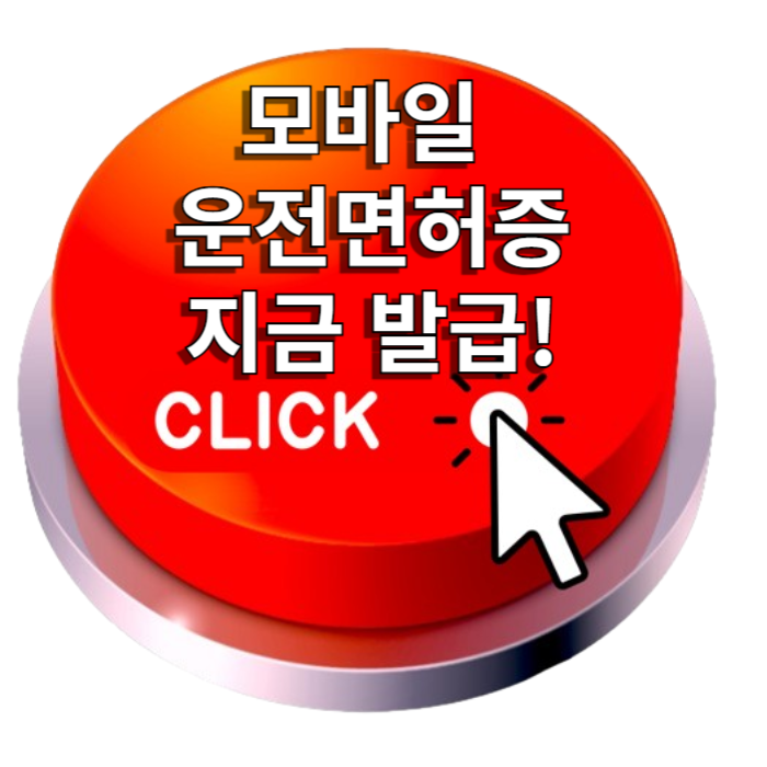 ic운전면허증