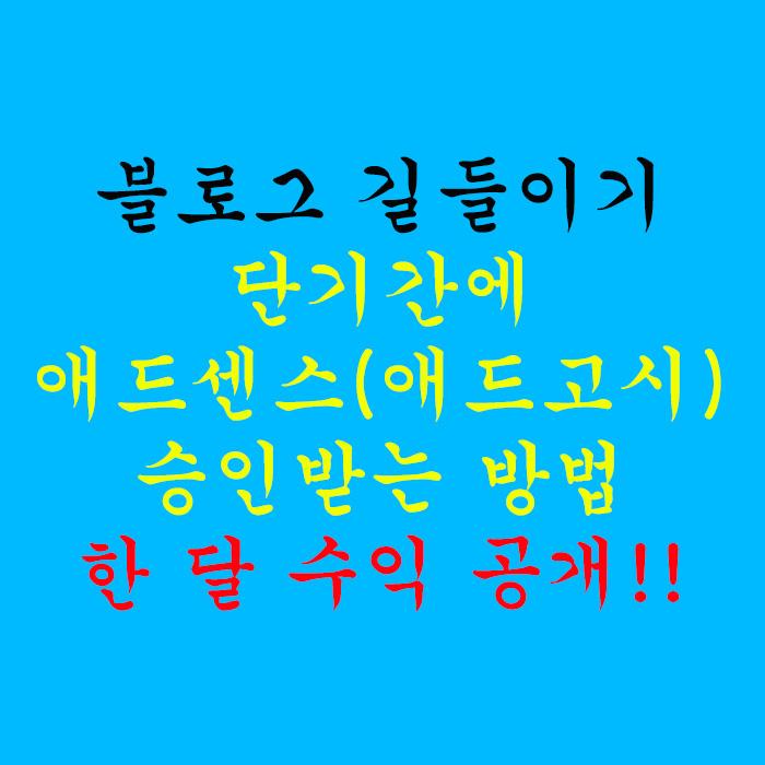  단기간에 애드센스(애드고시) 승인받는 방법 과 한 달 수익 공개