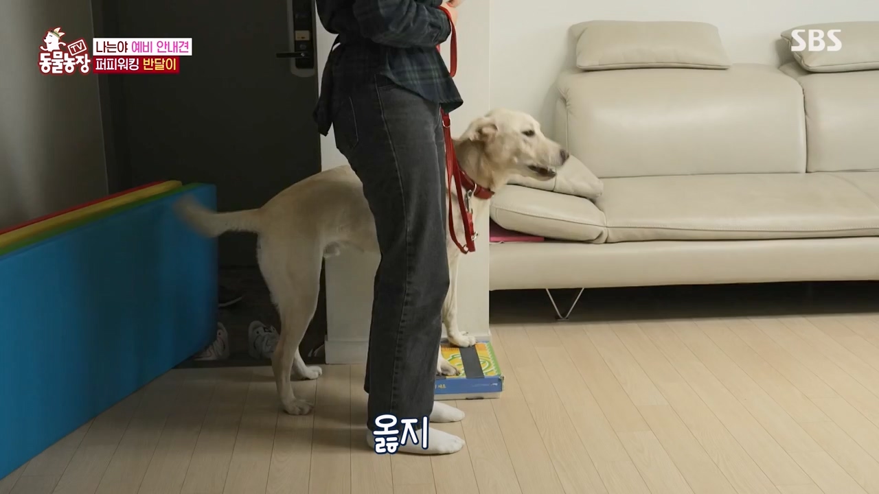 TV 동물농장.E1122.230529p-NEXT.mp4_20230528_170254.772.jpg