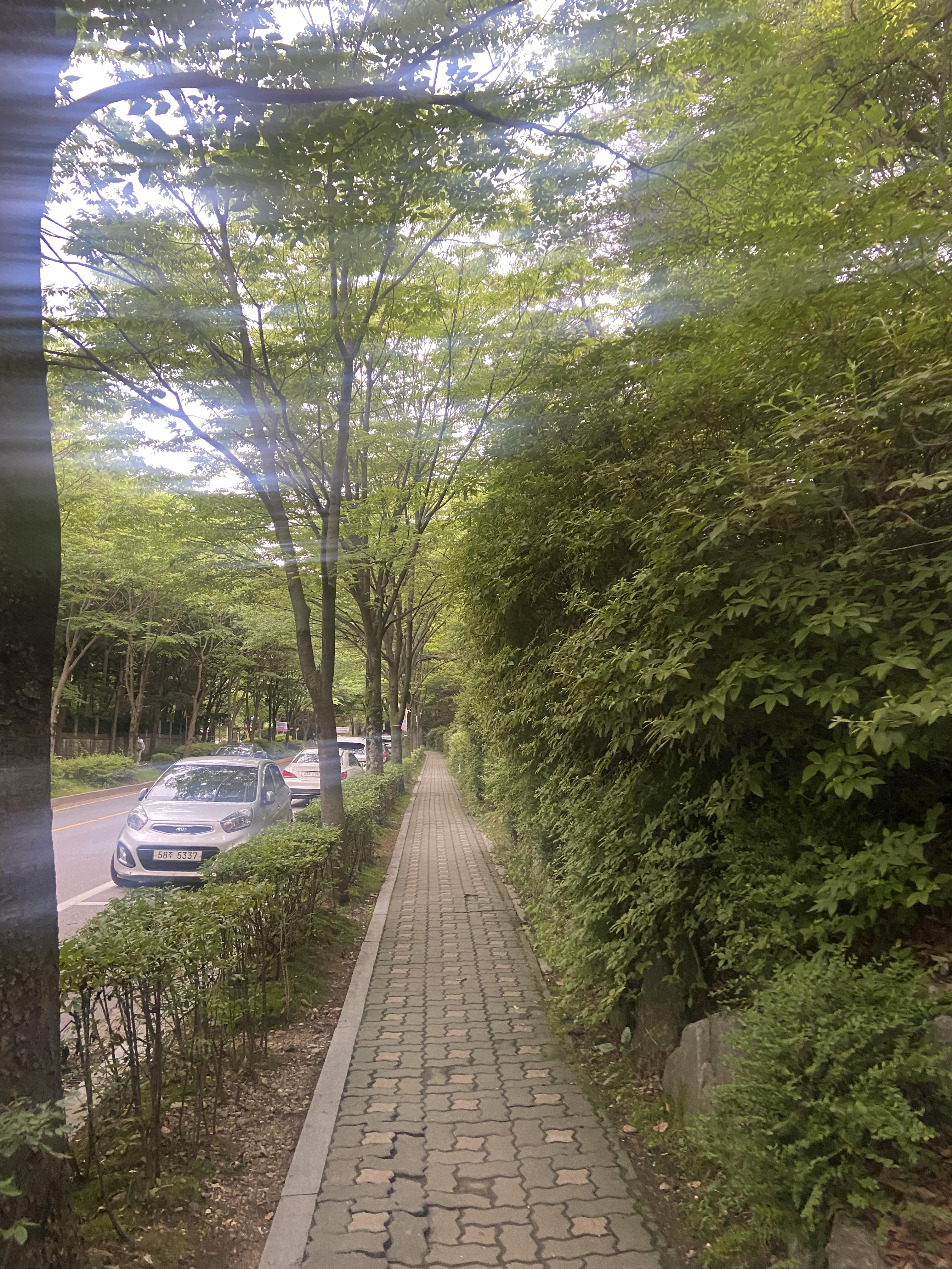  소소한 생각 정리
