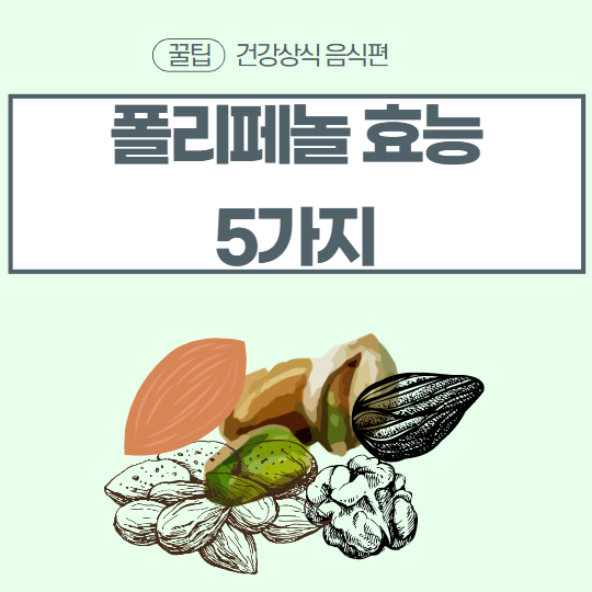  폴리페놀 효능 5가지 폴리페놀 음식