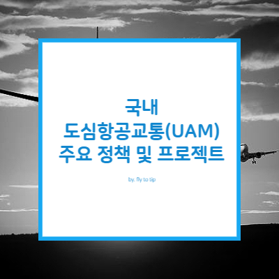 국내 도심항공교통(UAM) 정책 및 프로젝트