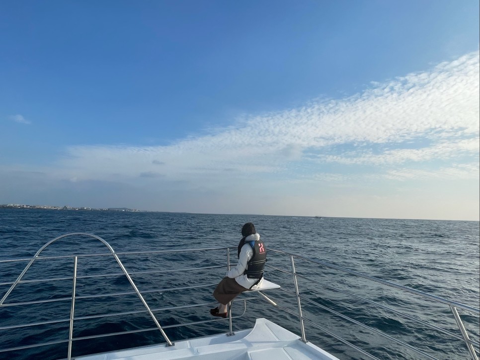 겨울 여행지 겨울 국내 여행지 :제주도 44