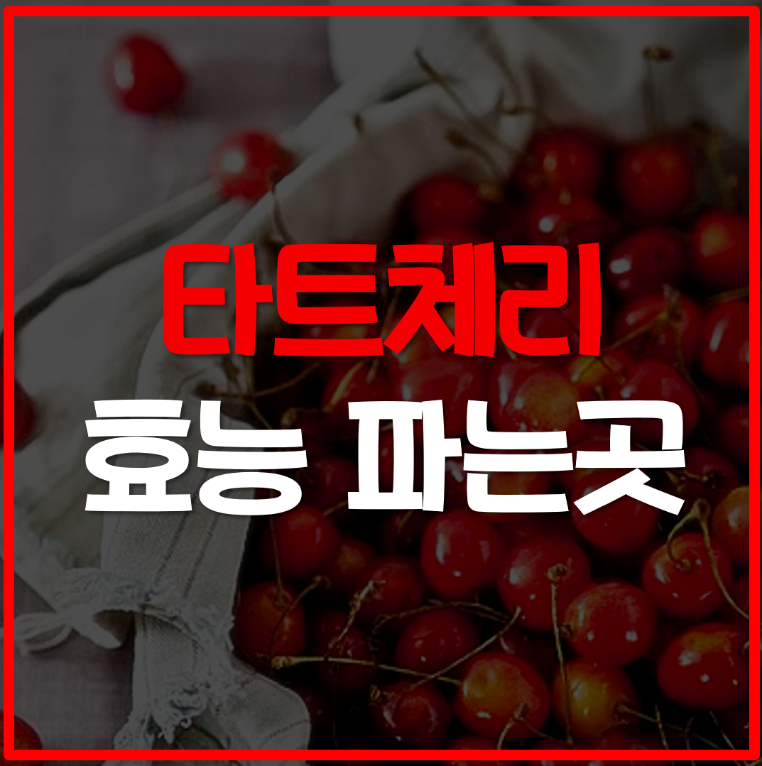  타트체리 효능, 파는곳