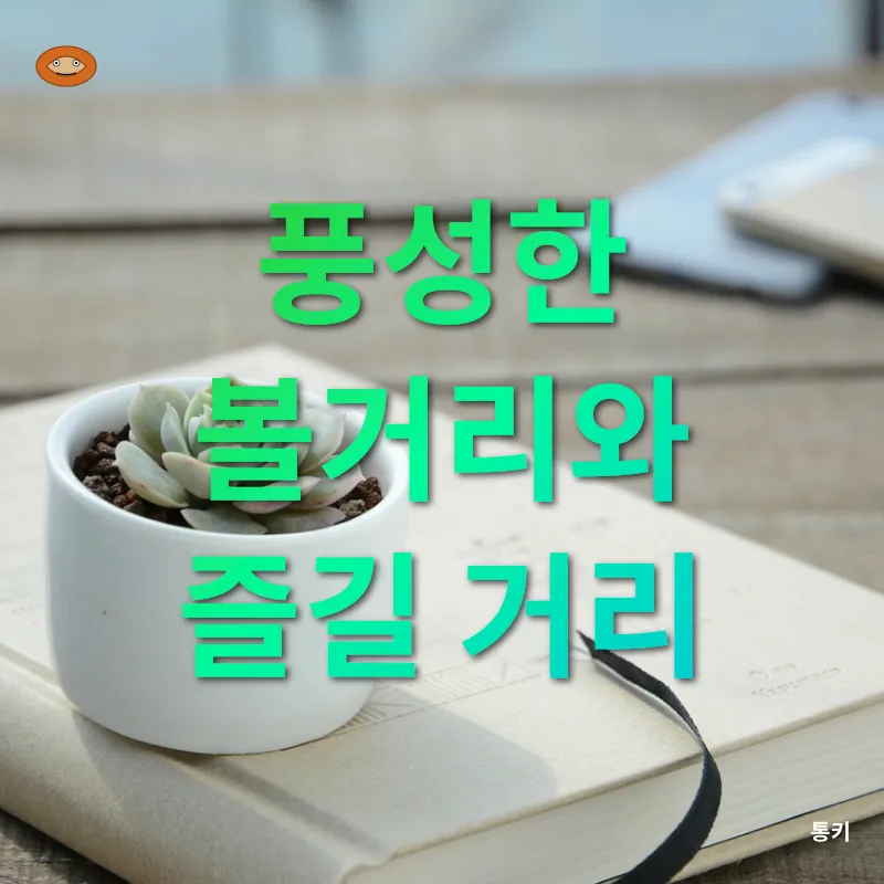 선인장_3