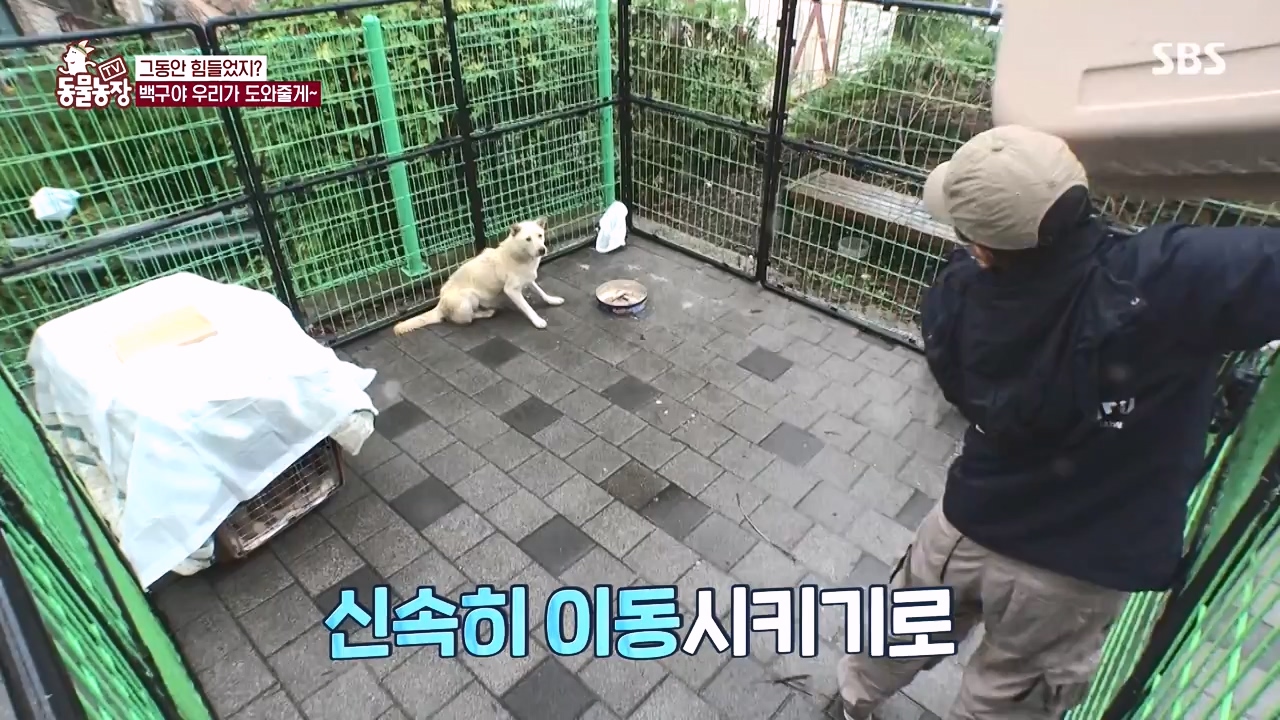 TV 동물농장.E1144.231106p-NEXT.mp4_20231105_180001.887.jpg