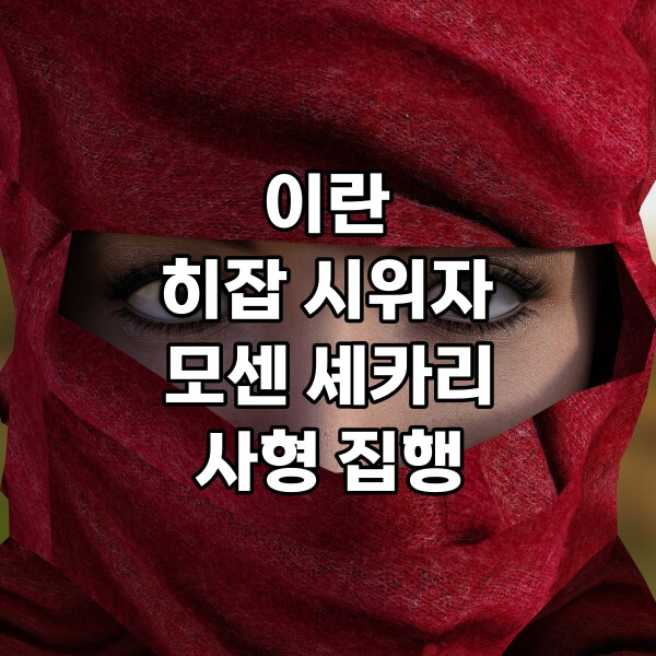 뉴스 공부 이란 히잡시위자 모센 셰카리 사형 집행&#44; 사진은 모센 셰카리가 아닙니다.