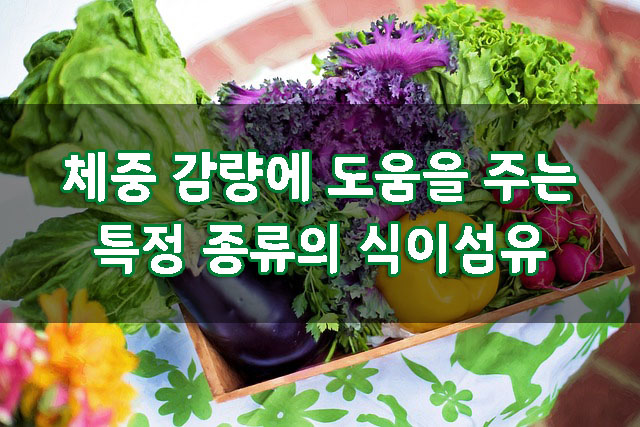  체중 조절에 도움을 주는 식이섬유, 식이섬유와 건강, 섬유질이 풍부한 음식