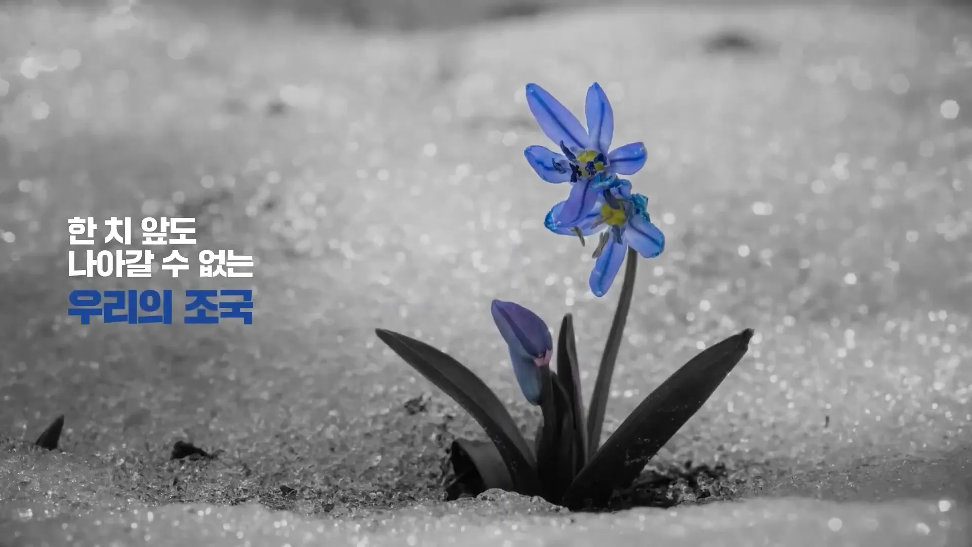 혁신광고 이미지