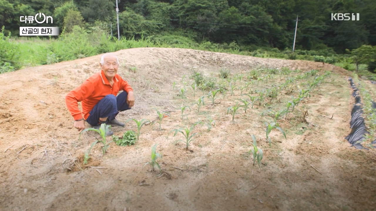 다큐 온.E245.240414p-NEXT.mp4_20240414_142437.421.jpg